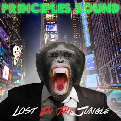 PRINCIPLES SOUND – LOST IN THE JUNGLE